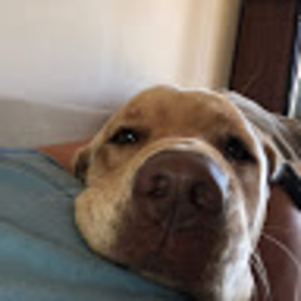 Meet your Posher, Tech